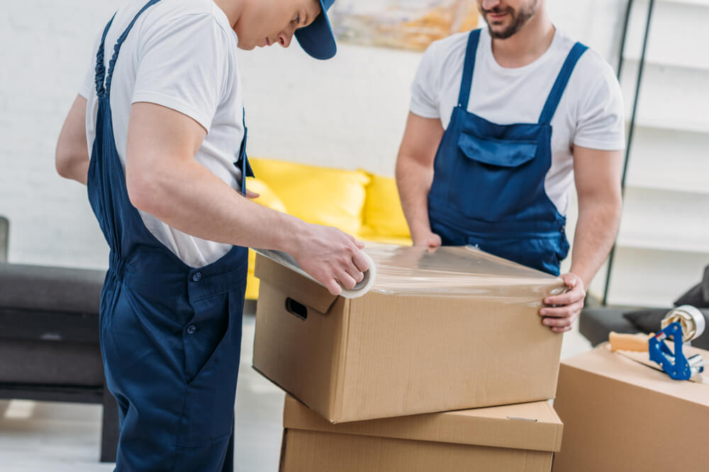 Best Logistics Support Moving Company